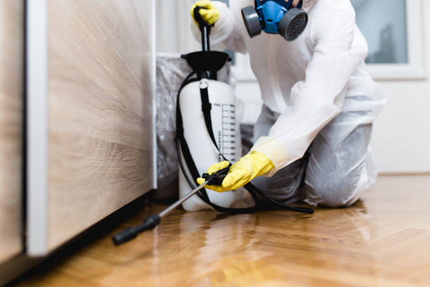 Best Exterminator Services  in Chariton, IA