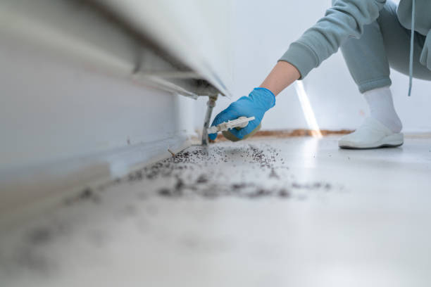 Best Pest Removal Services  in Chariton, IA